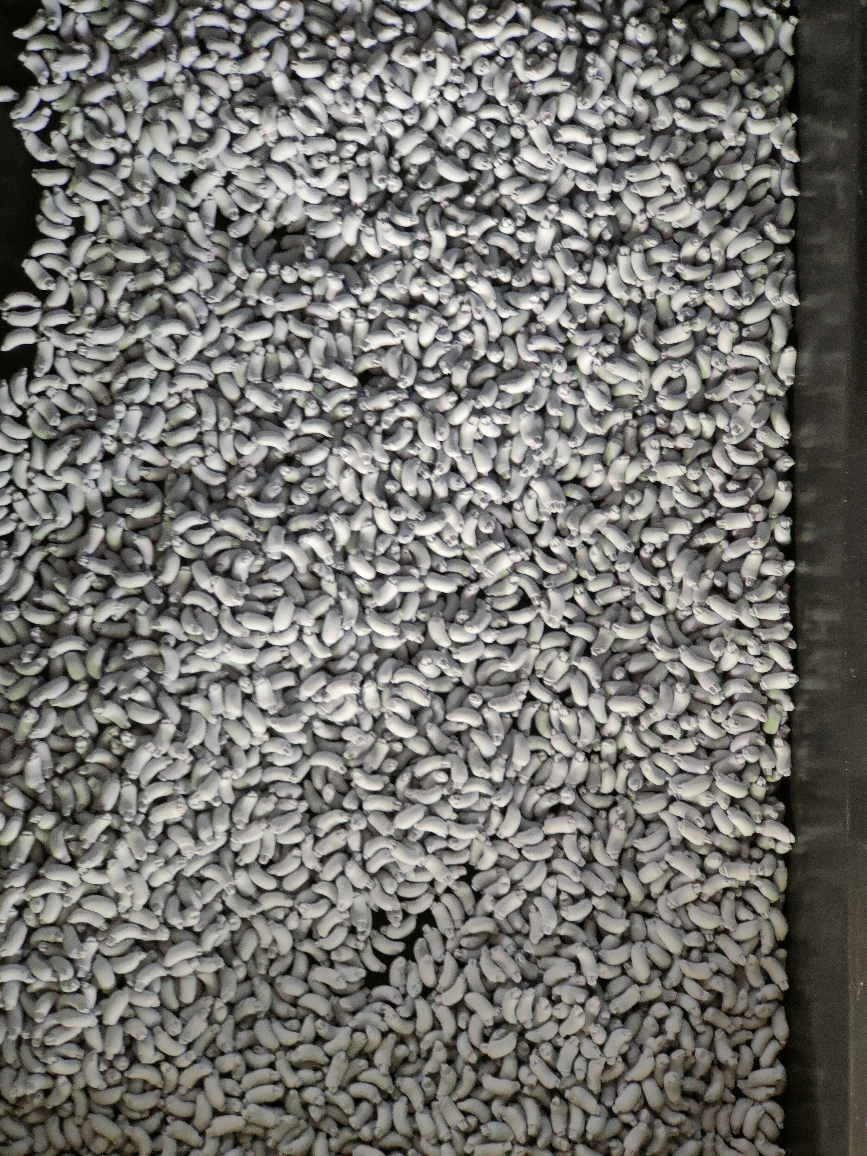 before spraying paint