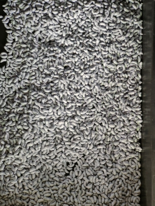 before spraying paint